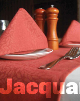 Table Napkins  -Polyester Colored