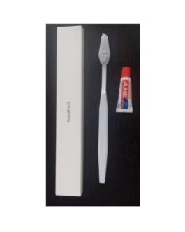 Dental Kits -1 Toothbrush+3 gm Ame Paste